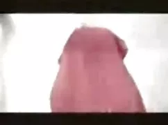Perra grande, xnxxme ...