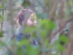 Musulmán xxx videos  ...