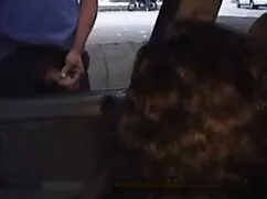 Asiático hermana le  ...