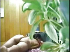 Chica gritó: porno p ...